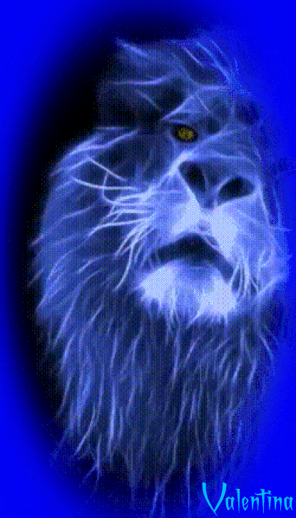 98Vt2TbXwBn4.gif