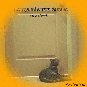 9T3qZ4KQLByD.gif