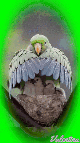 yX17xpyNjEtB.gif