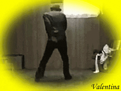 riGTruEI2V1r.gif