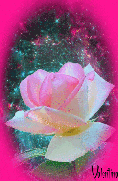 KY5uEQ7HnnRH.gif