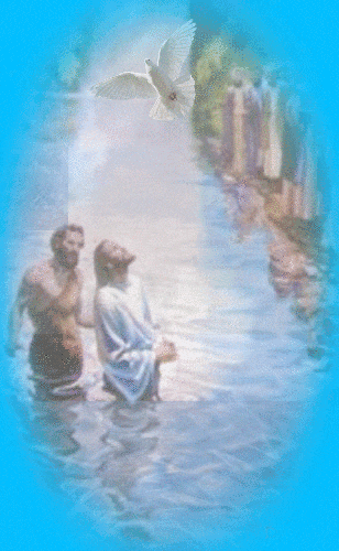 2422540p5nc8e72.gif