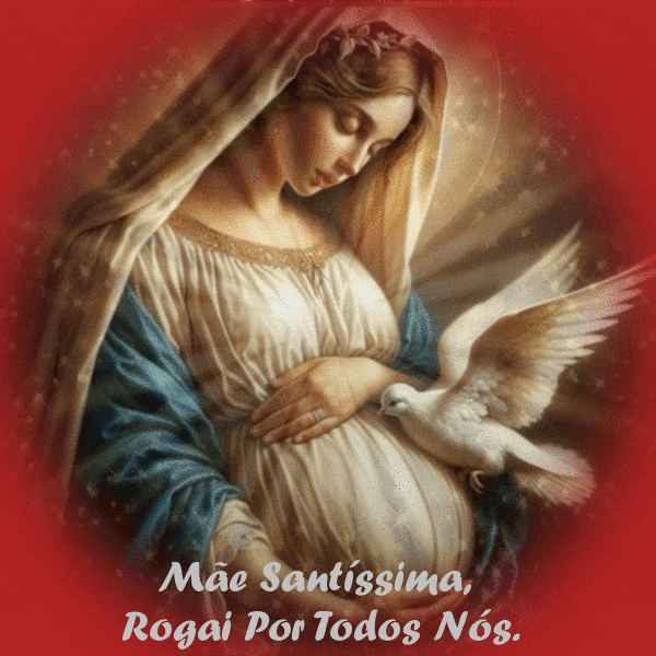 EIh09cisrcqp.gif