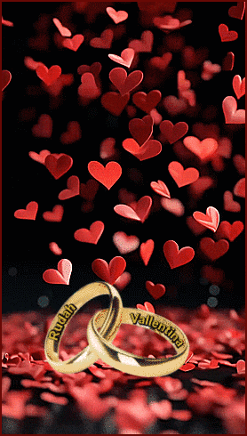 08.gif